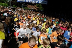 0119 Brunnenlauf 2015