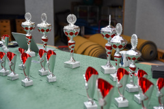 240602_Brunnenlauf_FST_0187