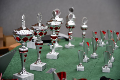 240602_Brunnenlauf_FST_0189
