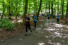 250525_Brunnenlauf_Eversten_0657
