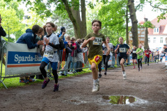 250525_Brunnenlauf_Eversten_0276