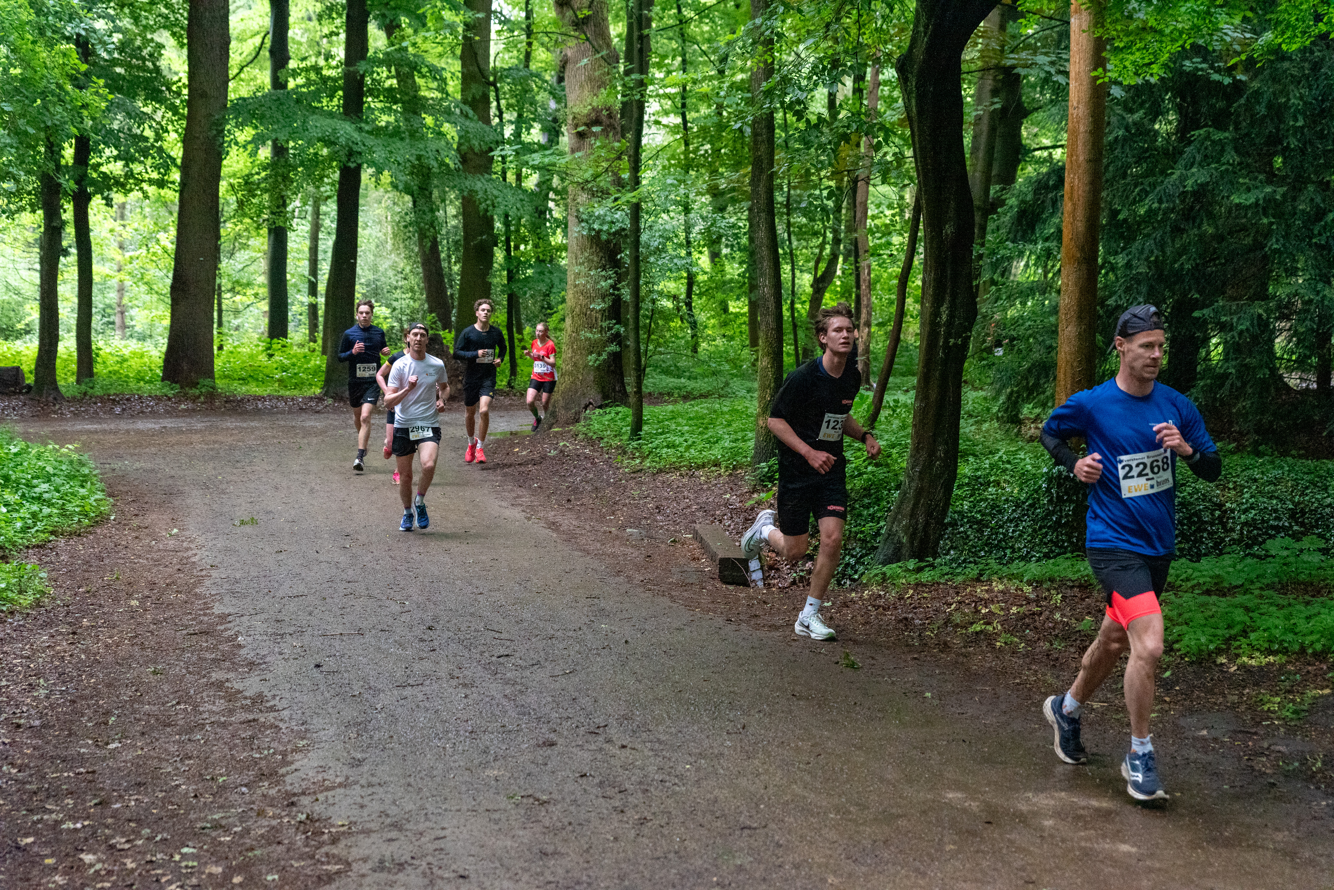 250525_Brunnenlauf_Eversten_0365