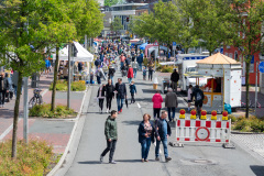 250525_Brunnenlauf_Eversten_0514