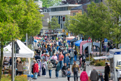 250525_Brunnenlauf_Eversten_0519
